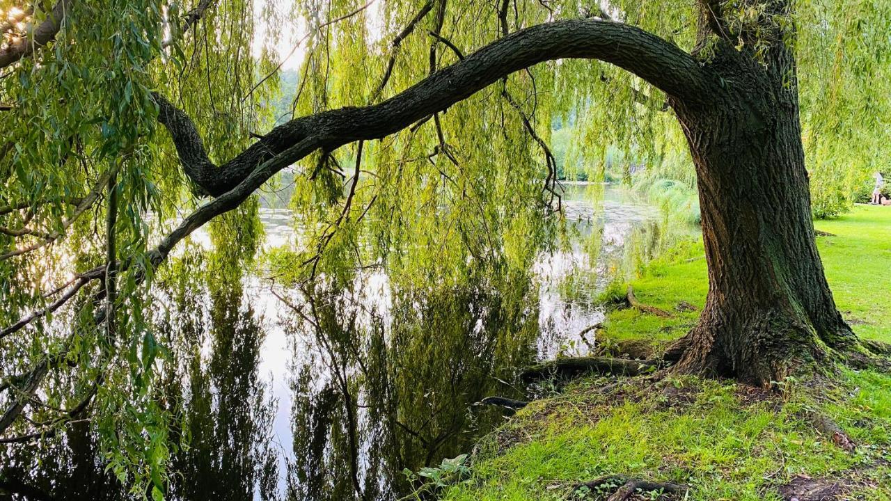 Gemuetliche Wohnung Bad Schwartau Esterno foto